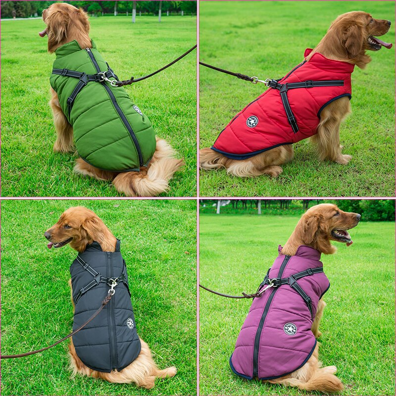 Winter Dog Coat  Built-In Safety Harness and Reflective Details - Product example