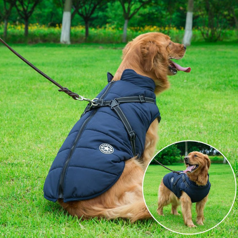 Winter Dog Coat  Built-In Safety Harness and Reflective Details - Product showcase