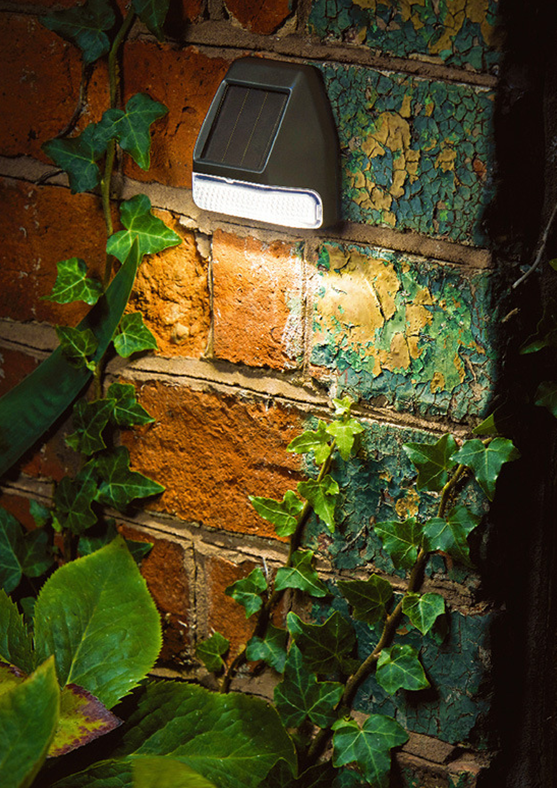 Solar Outdoor Light  Weather-Resistant LED Sensor Lamp - Product detail 5