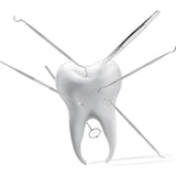 Professional Dental Care Tool  Stainless Steel Explorer  Scraper - Product showcase