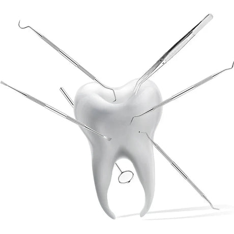 Professional Dental Care Tool  Stainless Steel Explorer  Scraper - Product showcase