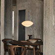 Modern Danish Pendant Light  Oval Glass Shade Design - Product showcase