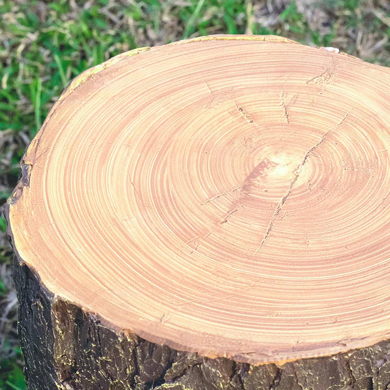 Rustic Garden Stump Light  LED Outdoor Path Lighting - Product detail 5