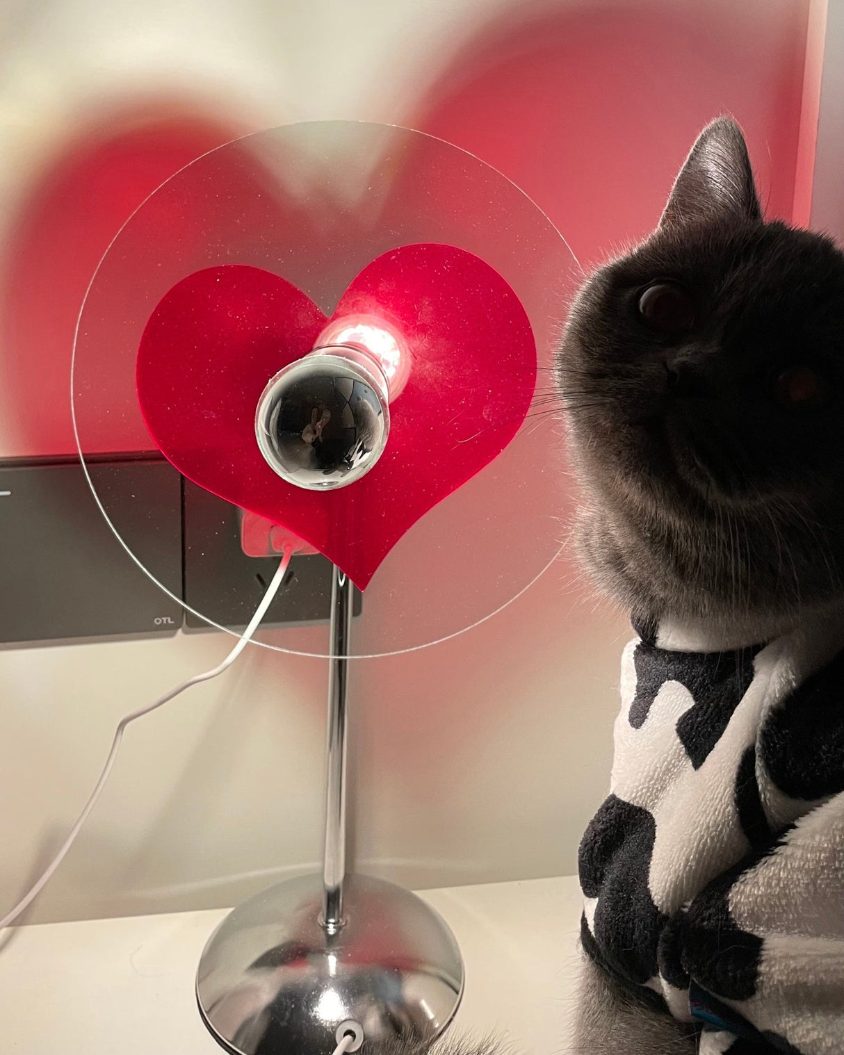 Heart LED Table Lamp  Modern Rechargeable Metal Design - Product detail 56