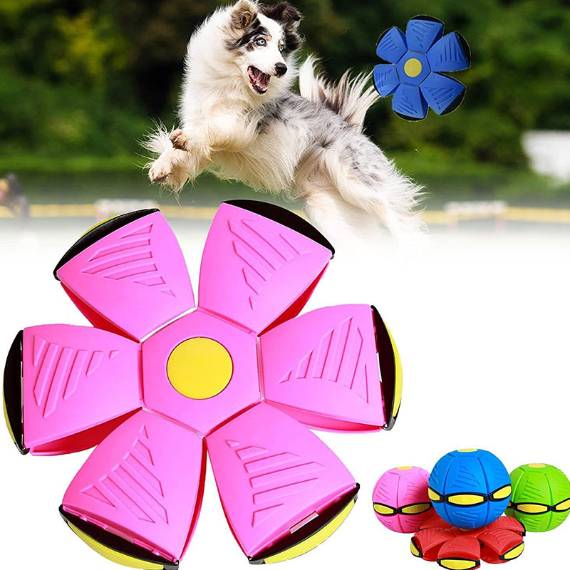 Transforming Pet Ball  Dual-Mode Play Disc with Floating Design - Product detail 4