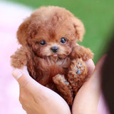 Interactive Pet Toy  Touch Responsive Plush Companion - Product detail 5