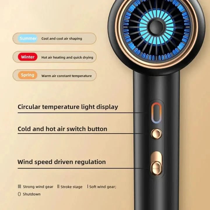 Professional Hair Dryer  2400W Ionic Technology Black Gold - Product detail 6