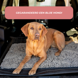 Absorbent Pet Door Mat  High-Performance Microfiber Cleaning Pad - Detailed view