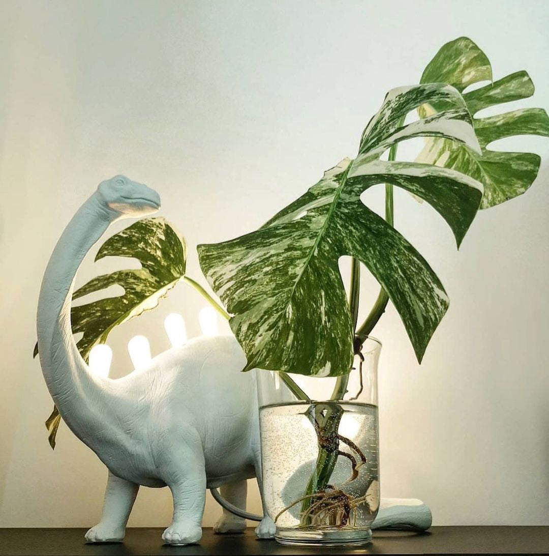 Dinosaur Table Lamp  LED Backlit T-Rex Design - Product detail 19