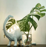 Dinosaur Table Lamp  LED Backlit T-Rex Design - Product detail 19