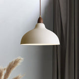 Scandinavian Pendant Light  Wood Accent Dome Shade - Product showcase