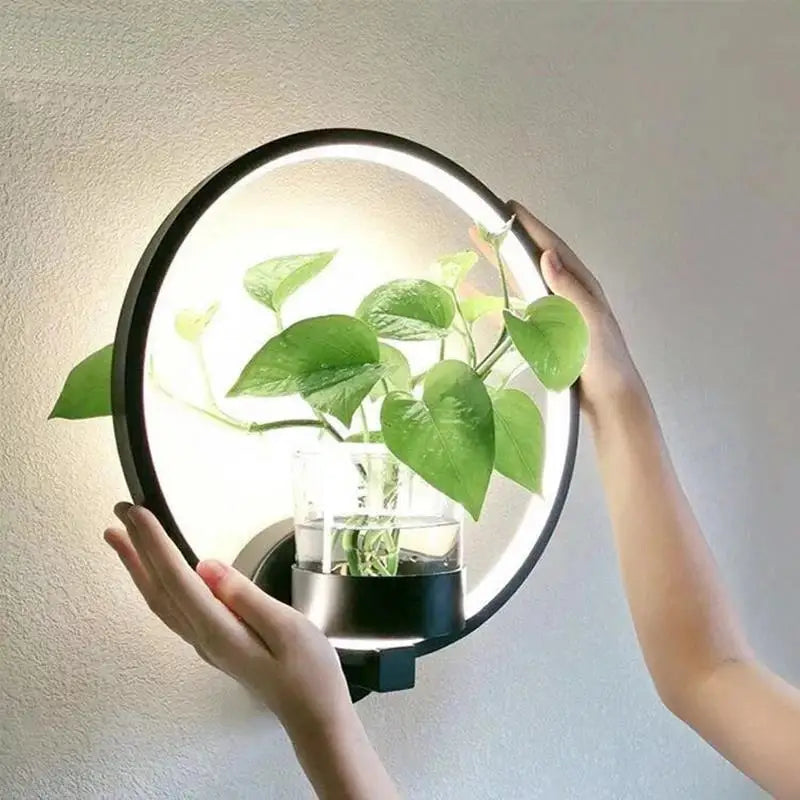 Modern LED Wall Lamp  Circle Frame Glass Planter Design - Product detail 5