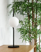 Modern Table Lamp  Curved Gold Frame With Glass Globe - Product detail 7