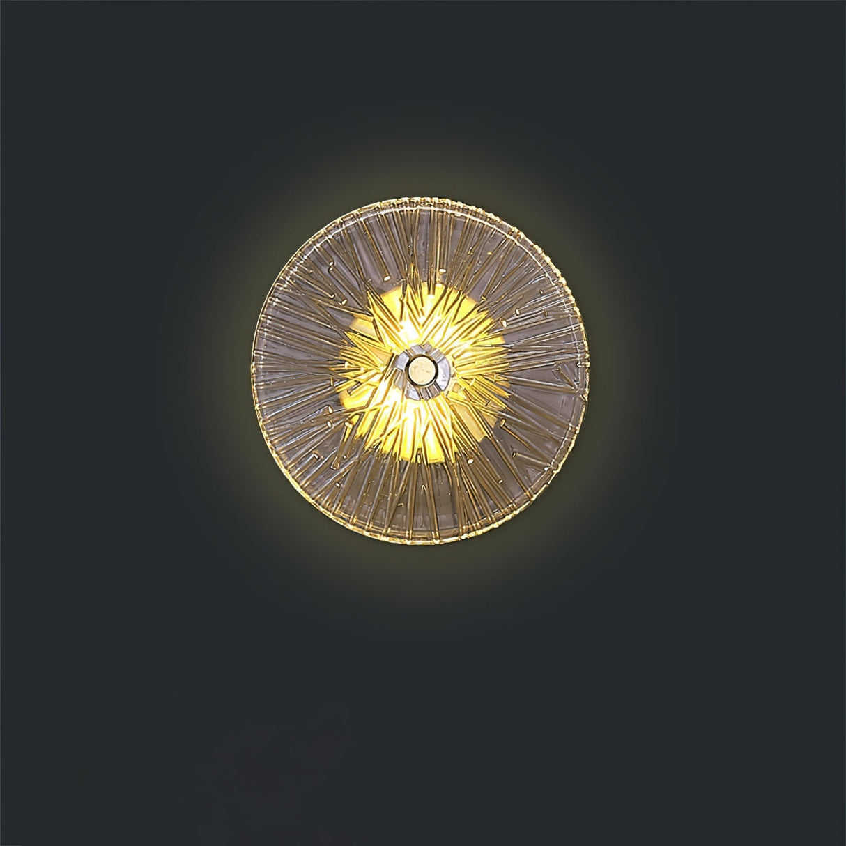 Modern Lotus Wall Light  Textured Glass Disc Design - Product detail 32