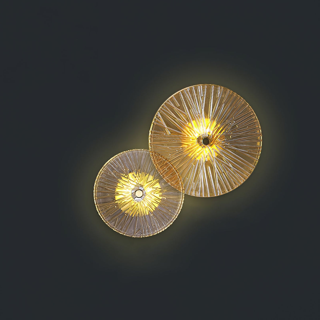 Modern Lotus Wall Light  Textured Glass Disc Design - Product detail 40