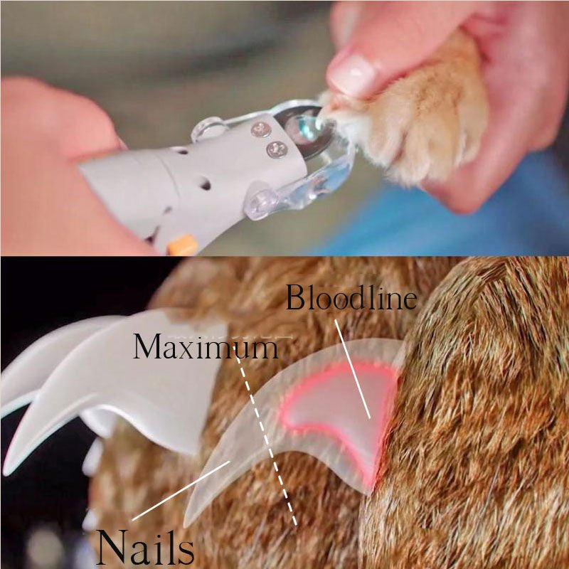 LED Pet Nail Clippers  5x Magnification with Safety Guard - Product detail 4
