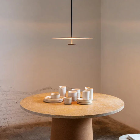 Modern Ring Pendant Light  Minimalist LED Disc Design - Product showcase