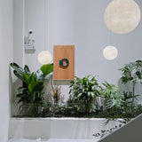 Modern Moon Pendant Light  Celestial Sphere Design - Product detail 29