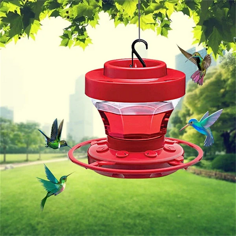 Hummingbird Feeder  Red Ant-Proof Hanging Design - Product showcase
