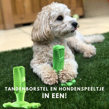 Dog Dental Care Toy  Natural Rubber Teeth Cleaning Chew - Product showcase