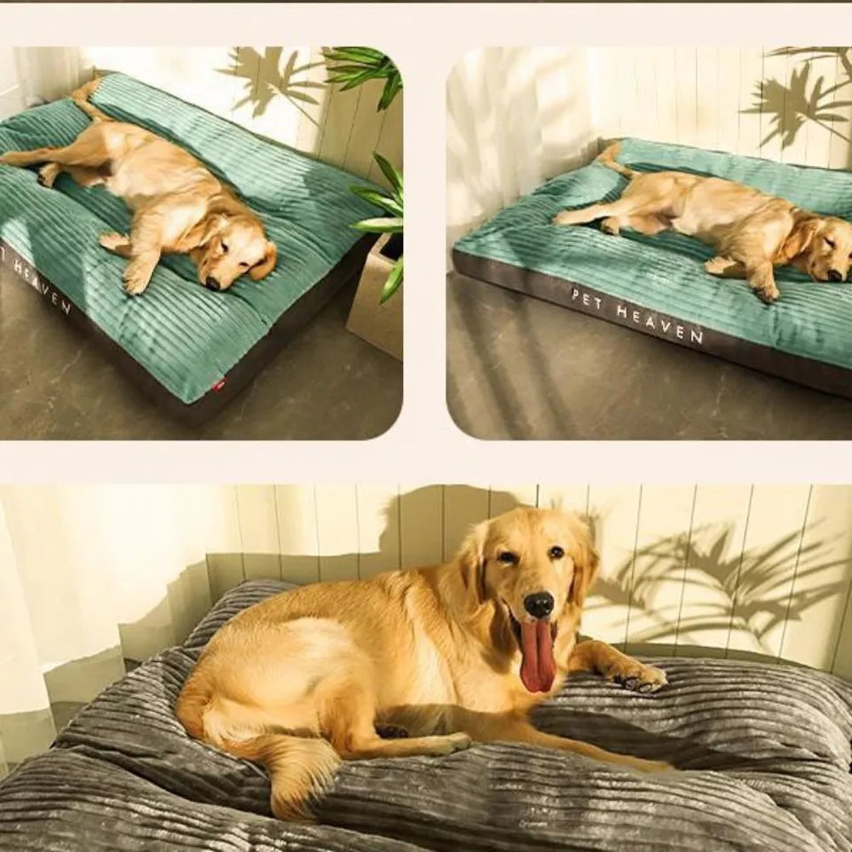 Orthopedic Dog Bed  Memory Foam Cushion With Plush Cover - Product example