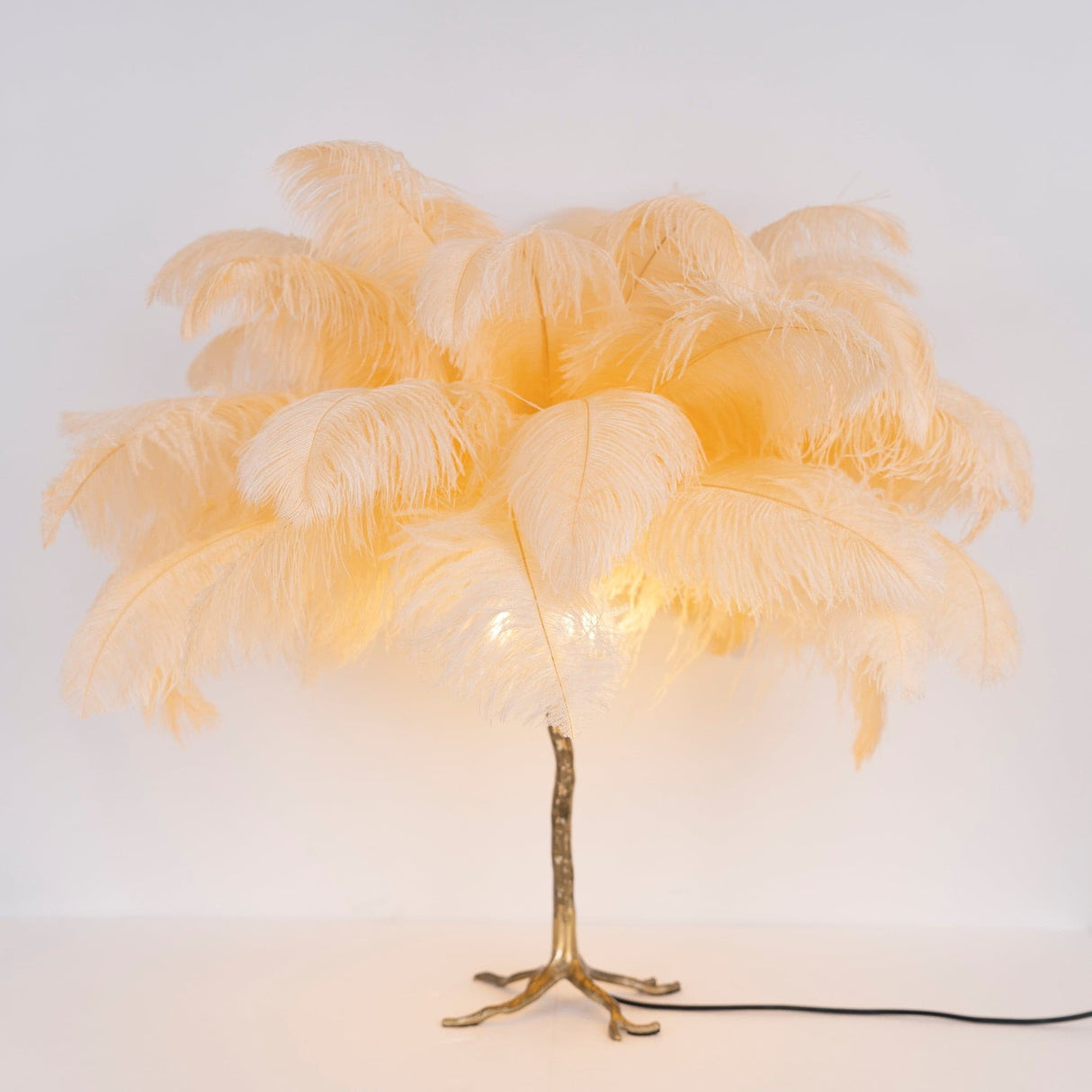 Feather Table Lamp  Gold Base with Pink Ostrich Plumes - Product detail 43