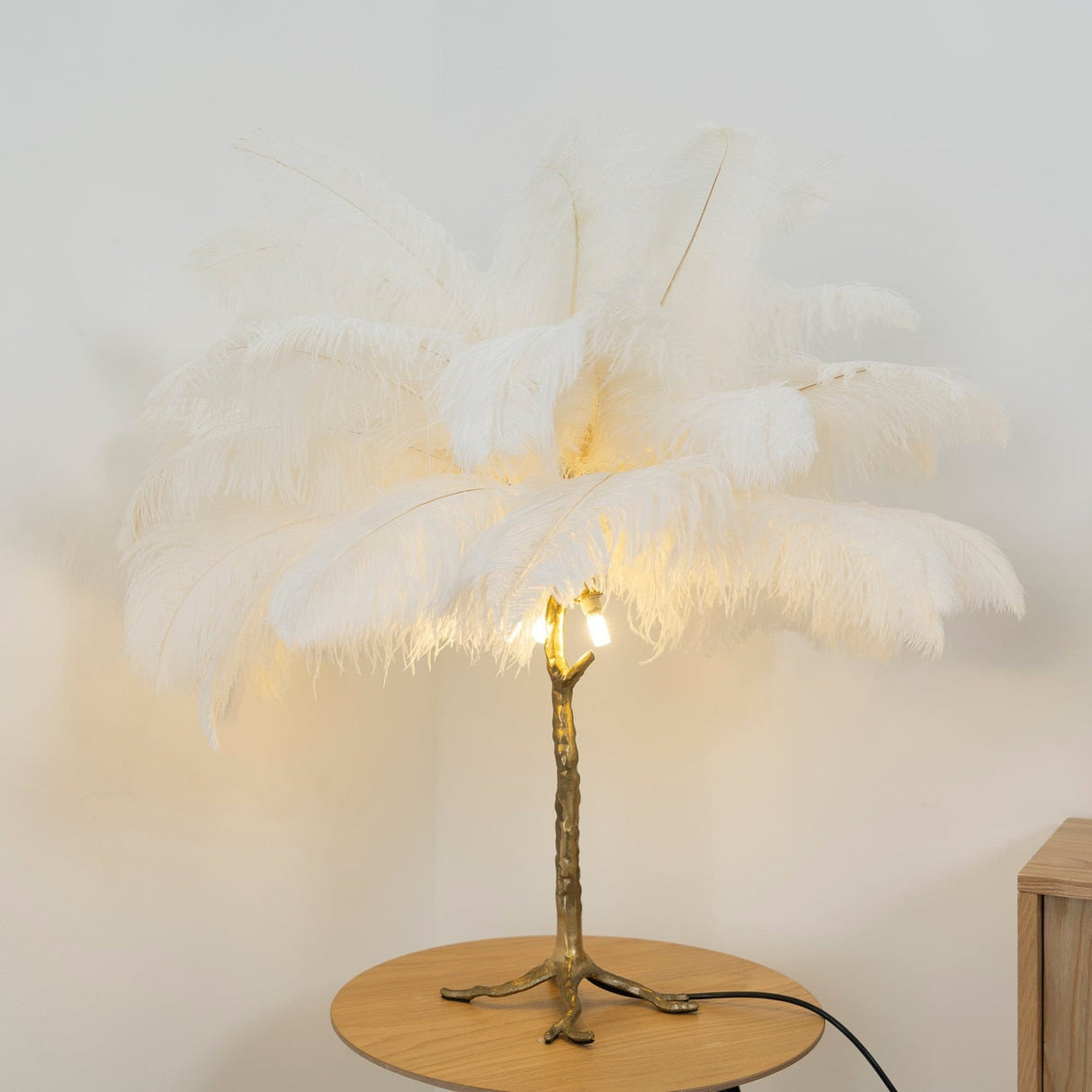 Feather Table Lamp  Gold Base with Pink Ostrich Plumes - Product detail 62