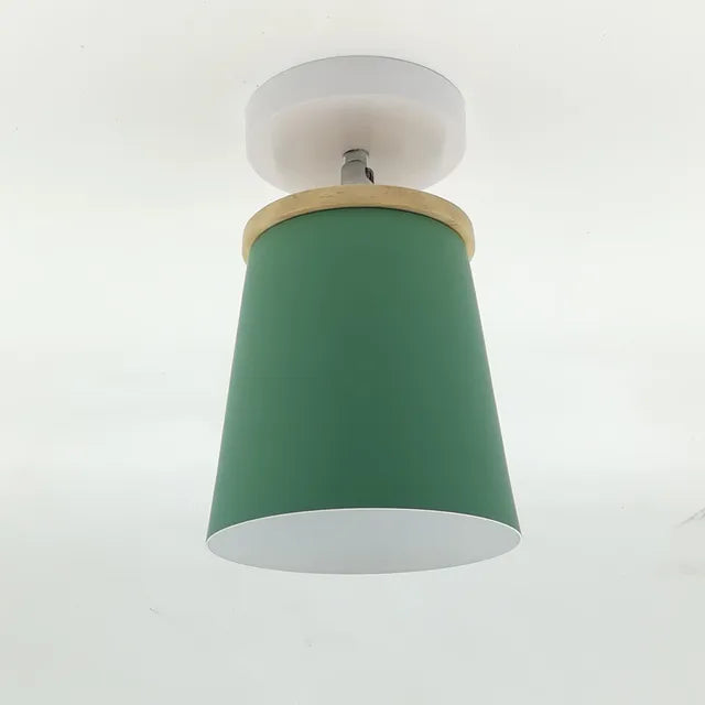 Modern Dome Ceiling Light  Adjustable Macaron Colors - Product detail 9