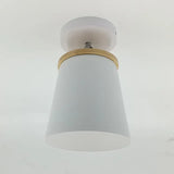 Modern Dome Ceiling Light  Adjustable Macaron Colors - Product detail 7