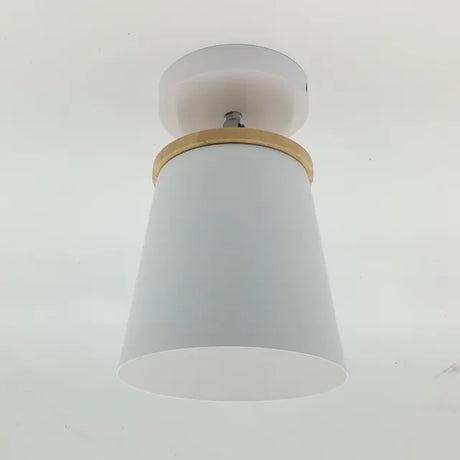 Modern Dome Ceiling Light  Adjustable Macaron Colors - Product detail 7