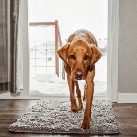 Absorbent Pet Door Mat  High-Performance Microfiber Cleaning Pad - Product showcase