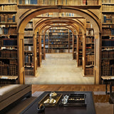 Library Mural Wallpaper | Vintage Wooden Arches Design