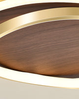 Modern Ceiling Light  Dual Ring LED Design - Product detail 12