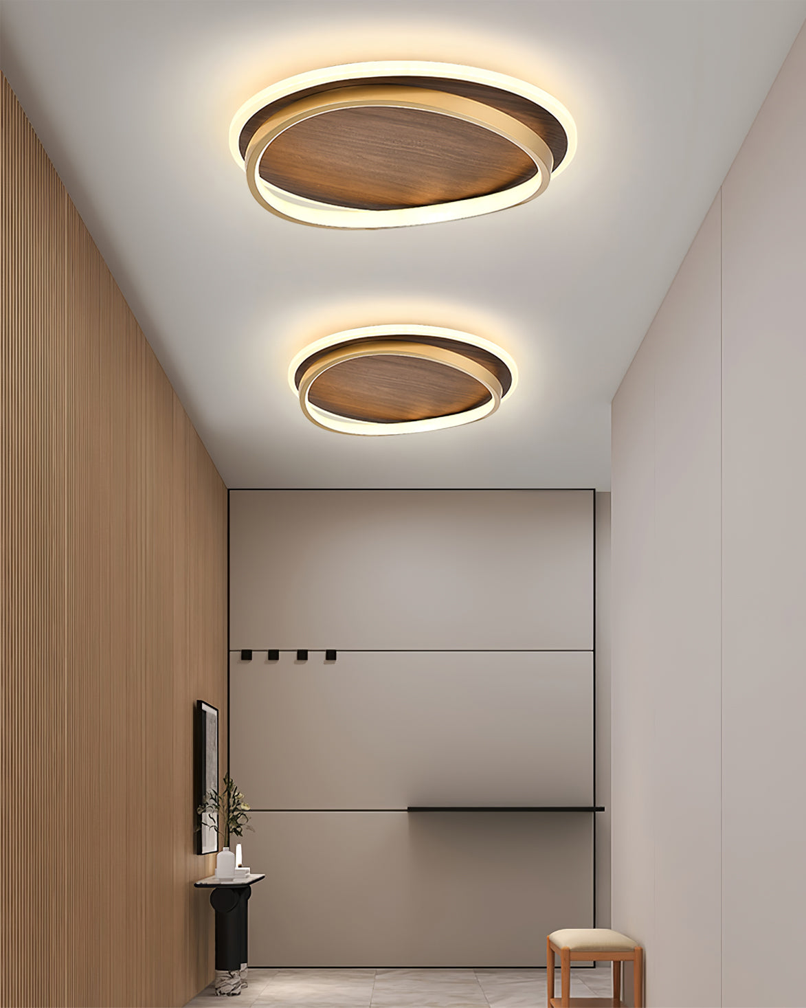 Modern Ceiling Light  Dual Ring LED Design - Product detail 15