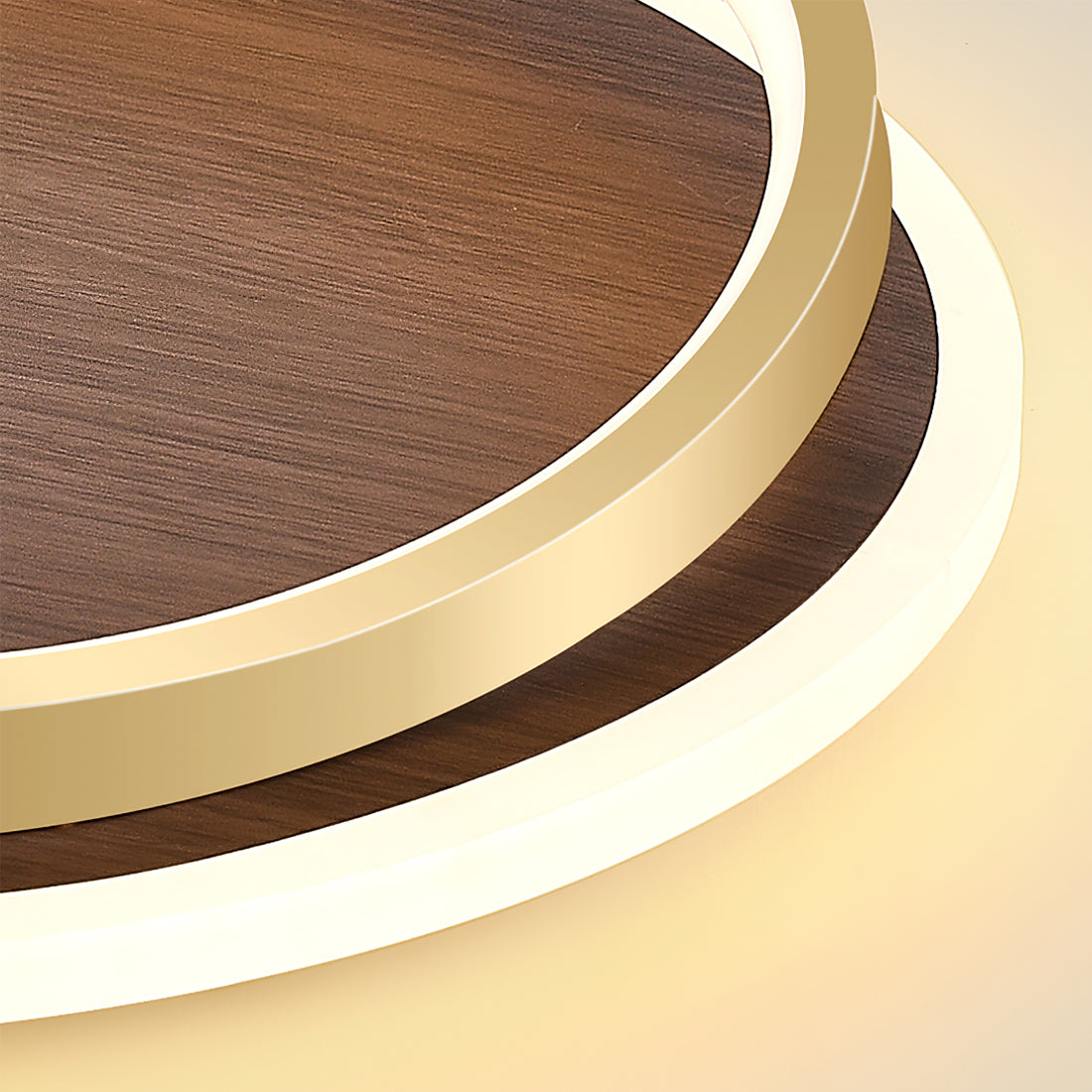 Modern Ceiling Light  Dual Ring LED Design - Product detail 17