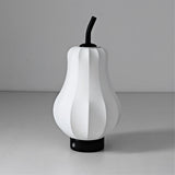 Modern Table Lamp  Pear-Shaped Rechargeable Design - Product detail 19