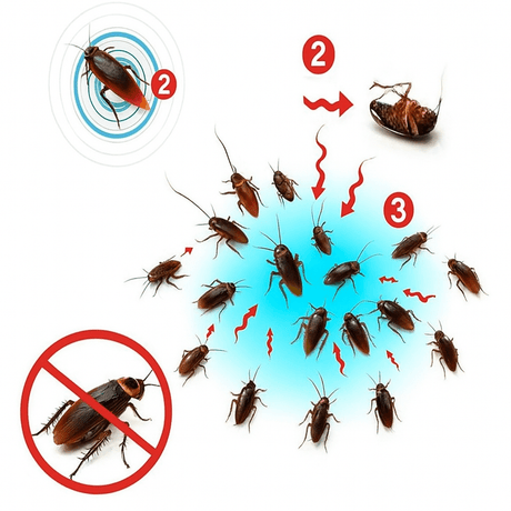 Cockroach Gel Bait Kit  Low-Odor Formula with Precision Applicator - Product detail 5