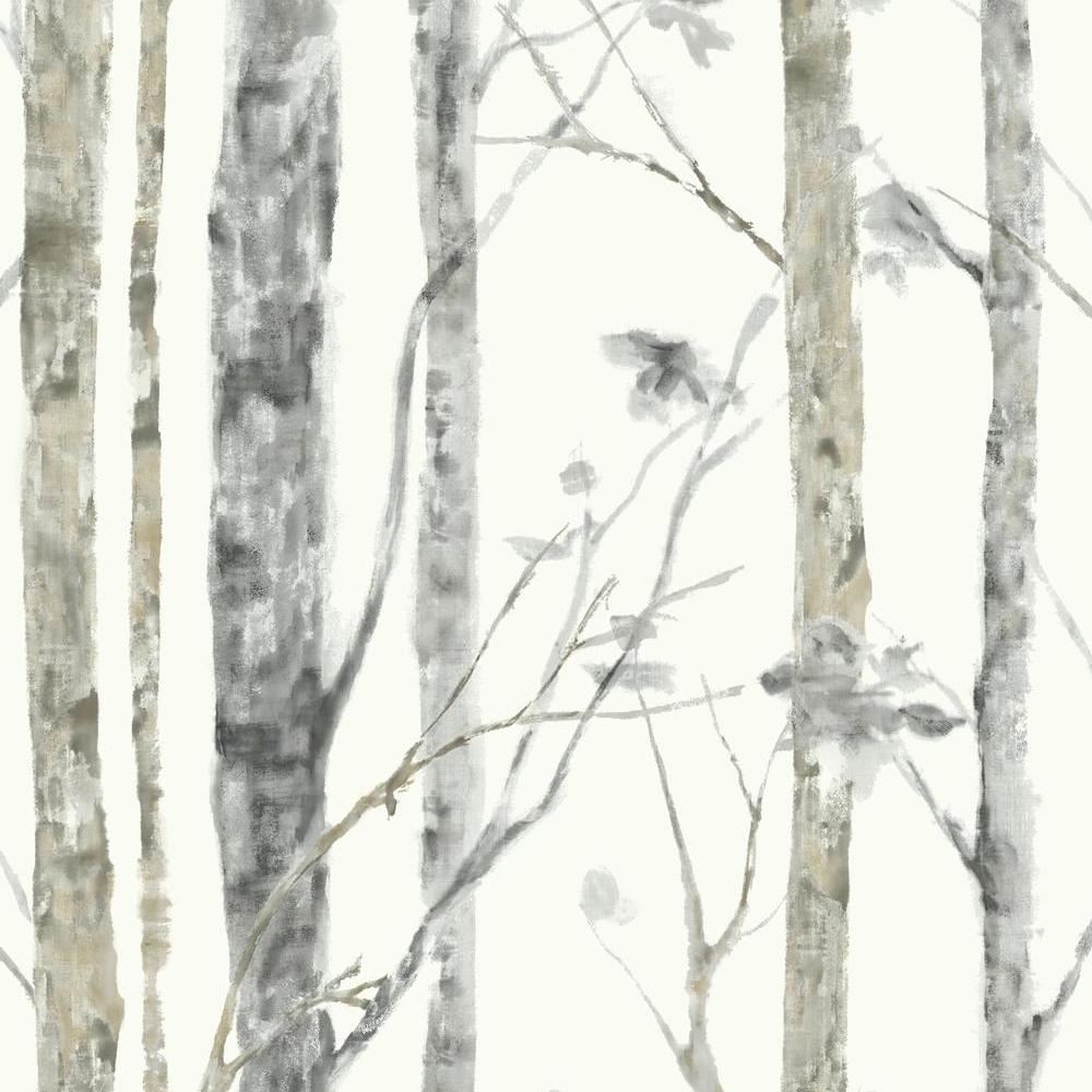 Forest Mural Wallpaper | Scandinavian Birch Trees Design