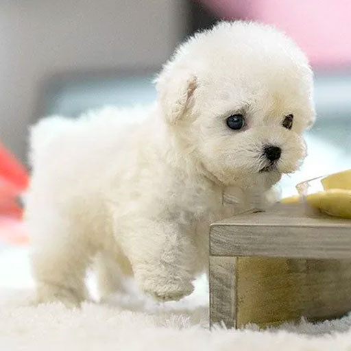 Interactive Plush Puppy  Realistic Pet Companion Toy - Detailed view
