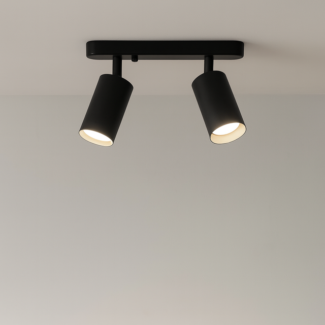 Modern Adjustable Spot Ceiling Light  Dual Head Track Lighting - Product showcase