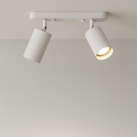 Modern Adjustable Spot Ceiling Light  Dual Head Track Lighting - Product detail 4