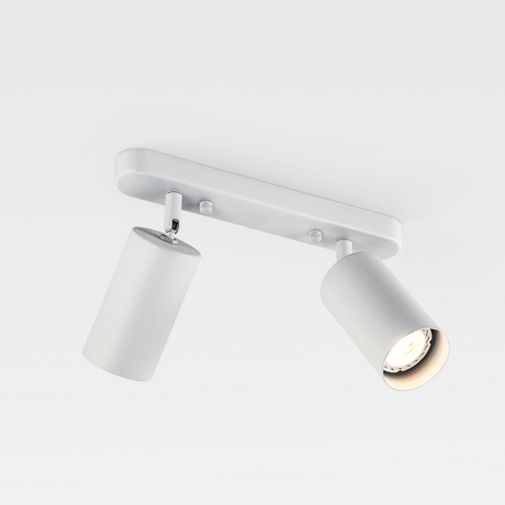 Modern Adjustable Spot Ceiling Light  Dual Head Track Lighting - Product detail 6