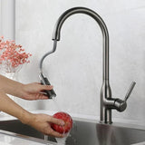 Modern Kitchen Faucet  Pull Down Spray Head With Dual Mode - Product example
