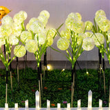 Solar Dandelion Garden Lights  LED Outdoor Path Lighting Set - Product showcase