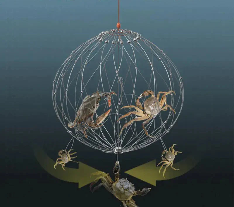 Collapsible Fishing Trap Net  Stainless Steel Mesh Design - Product detail 4