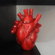 Anatomical Heart Vase  Modern Art Decor Sculpture - Product detail 17
