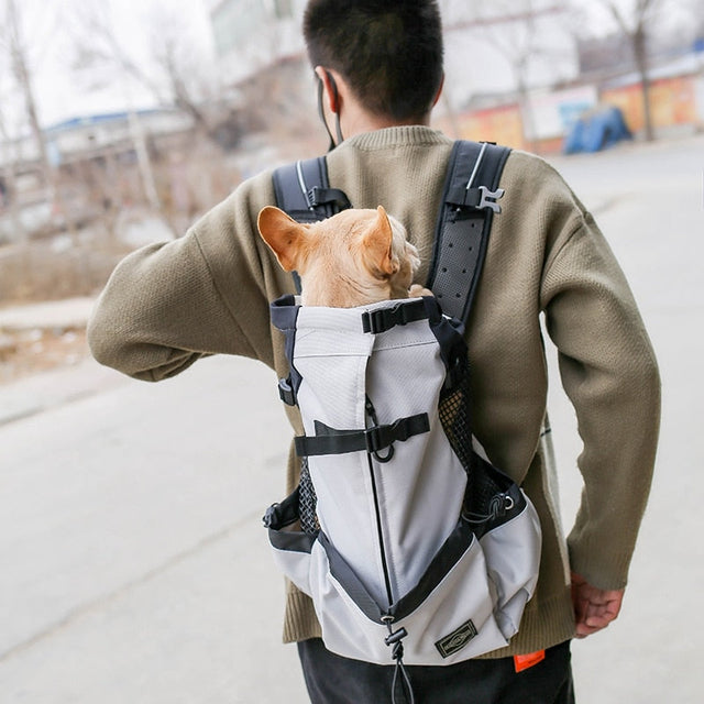 Pet Travel Backpack  Adjustable Mesh Carrier With Safety Straps - Product showcase