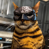 Batman Cat Mask  Black PLA Superhero Pet Costume - Product example