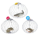 Collapsible Fishing Trap Net  Stainless Steel Mesh Design - Product showcase