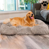 Orthopedic Dog Bed  Memory Foam With Plush Cover - Detailed view